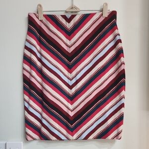 Striped Multicolor Women's Skirt
